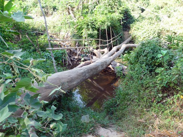 Point de départ du trek - Trek au coeur du Ratanakiri