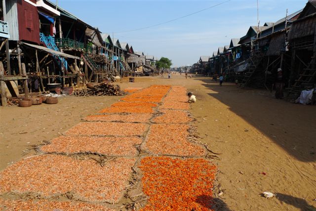 Le lac Tonlé Sap