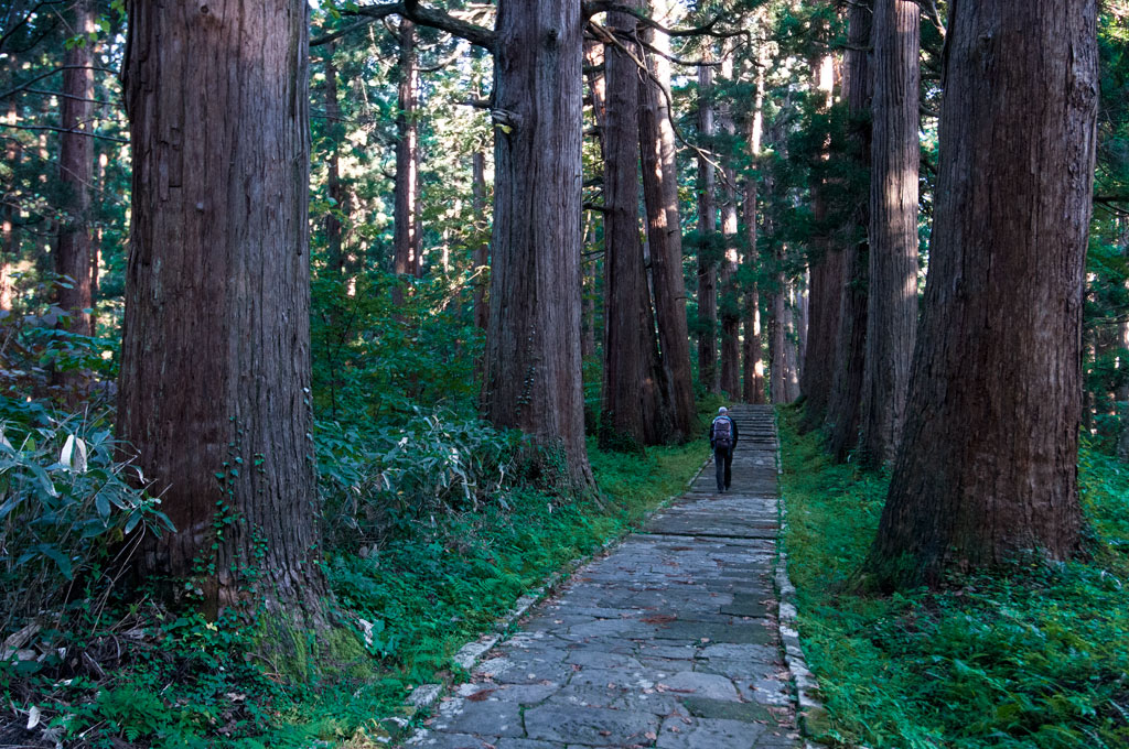 Sur le chemin au milieu des cèdres pour monter au temple de Haguro-san