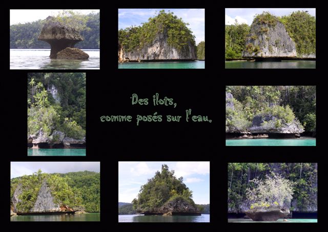 Le long de la côte de l'Irian Jaya