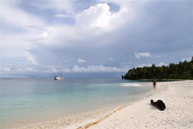 Misool et les îles coralliennes