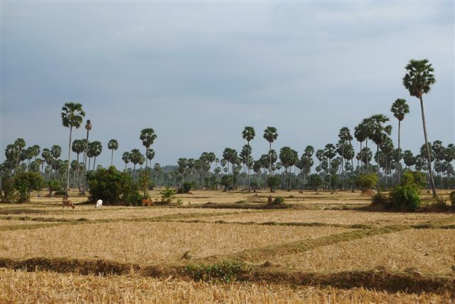 De Battambang à Kampong Chhnang