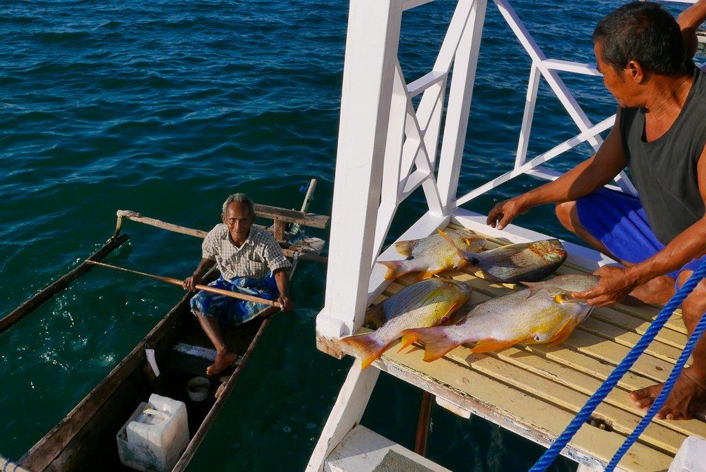 Poisson livré directement à domicile