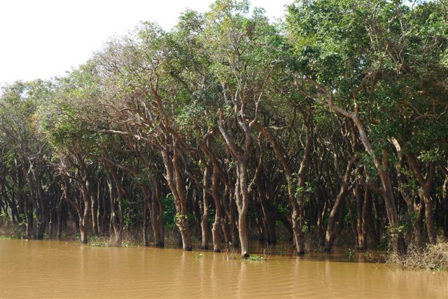 Le lac Tonlé Sap