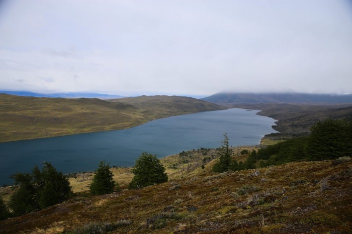 6 Novembre Patagonie Laguna Azul - Salto Grande (1 sur 8)