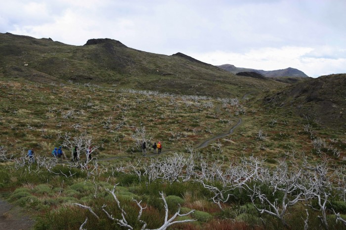 6 Novembre Patagonie Laguna Azul - Salto Grande (5 sur 8)