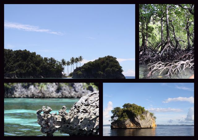 Transparence de l'eau - Arrivée dans la réserve de Raja Ampat