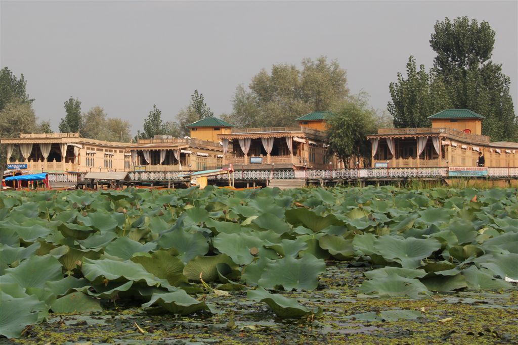 Notre salle à manger - Cap pour Srinagar