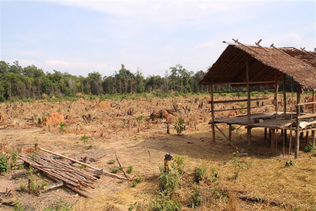 Marche sur la montagne de Phnom Kulen