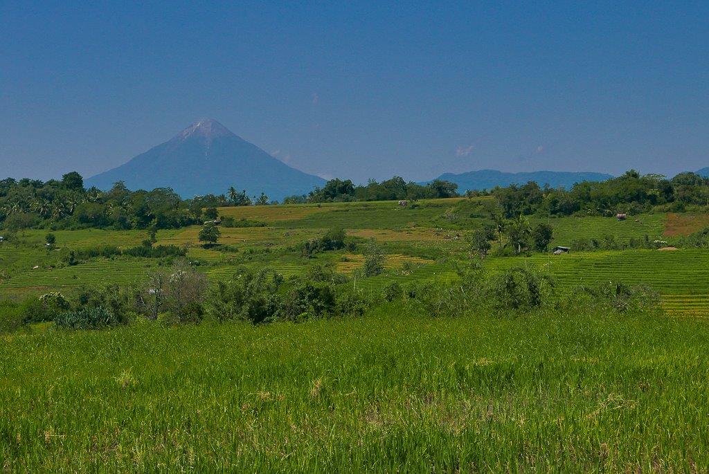 Le volcan Ebolobo domine l'horizon de ses 2100 mètre