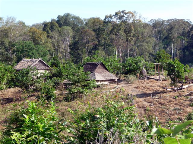 Trek au coeur du Ratanakiri