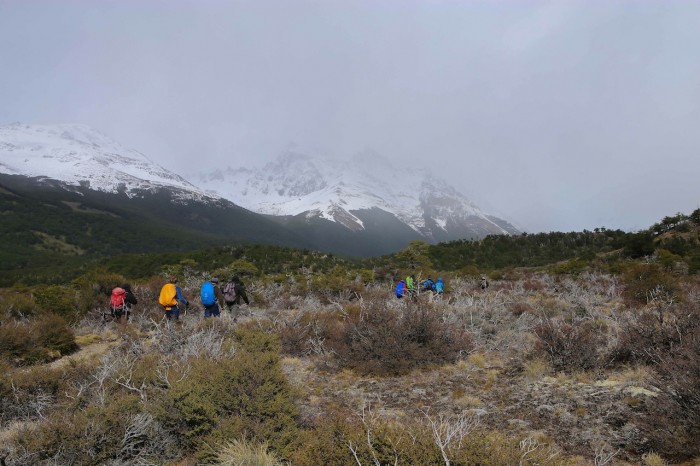 8 Novembre Patagonie Laguna Torre (4 sur 9)