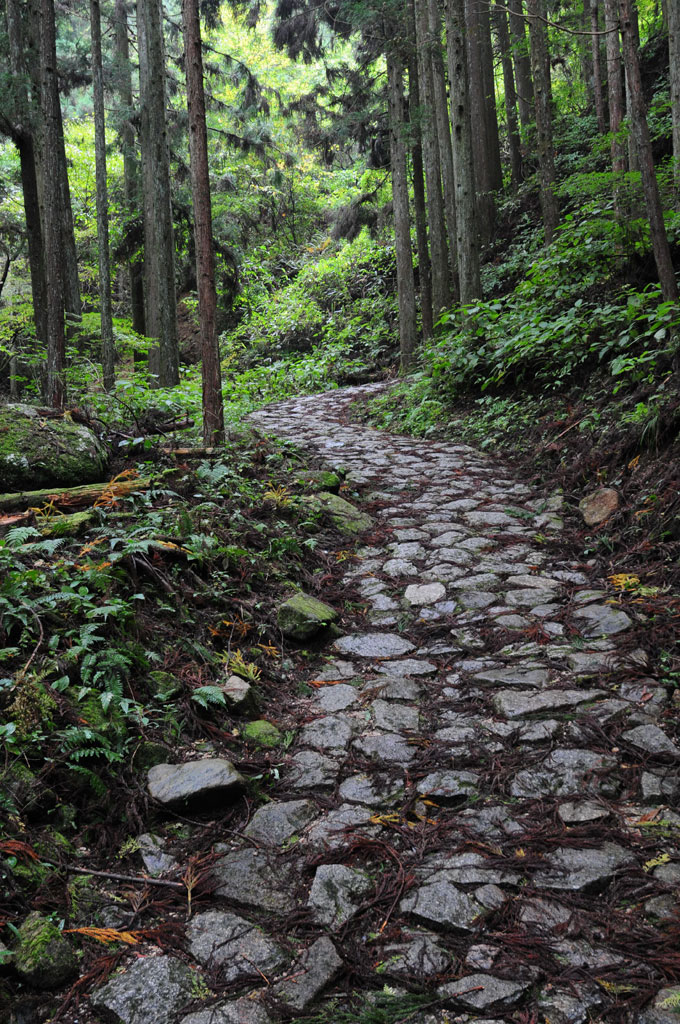 Sur le sentier de Nakasendo ancien chemin qui reliait Edo à Kyoto. Entre Magome et Tsumago