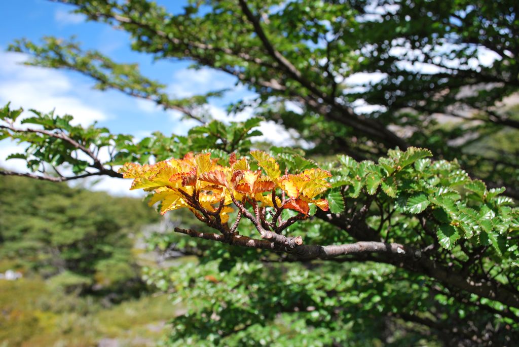 Prémices de l'automne.