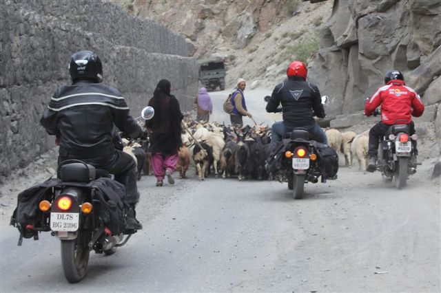 Le marché flottant de Srinagar - De Srinagar à Kargil