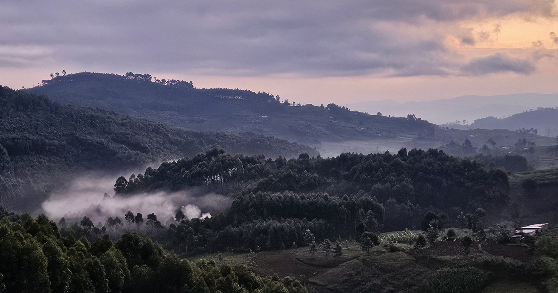 Parc national de Nyungwe - Rwanda
