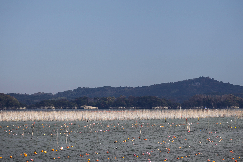 Baie de Matsushima 20151023-1