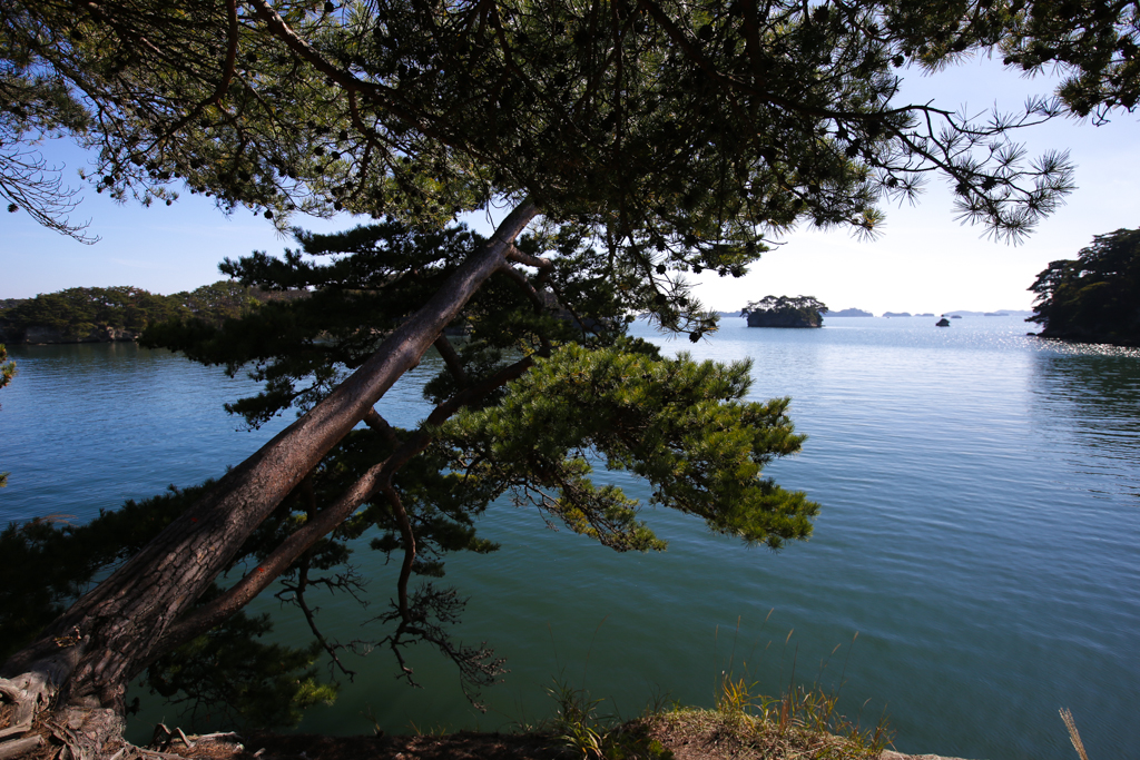 Baie de Matsushima 20151023-11