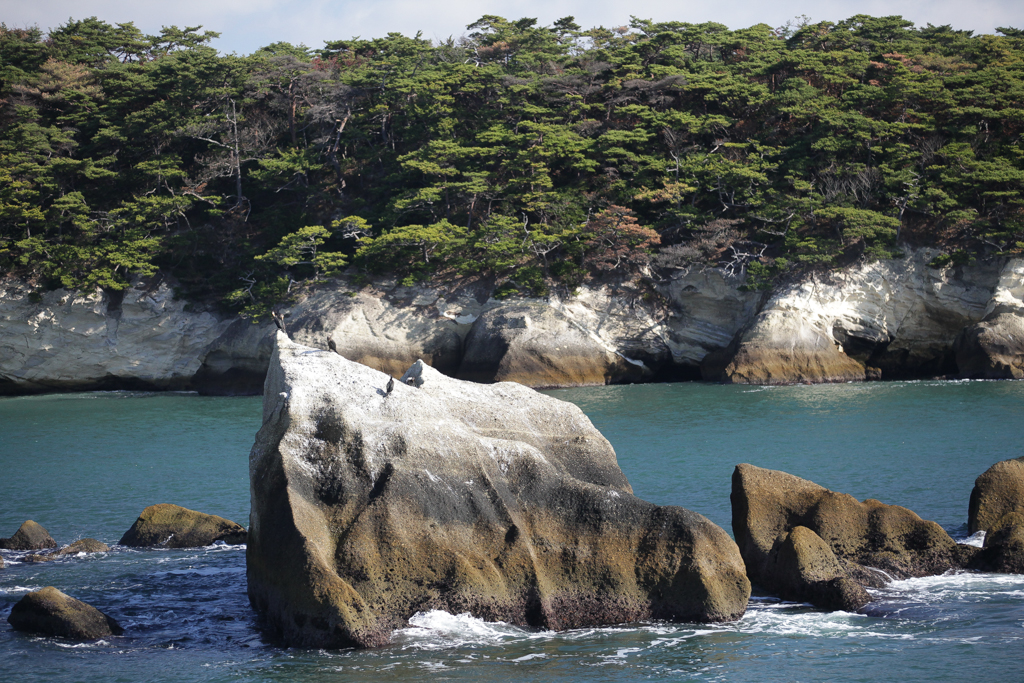 Baie de Matsushima 20151023-3