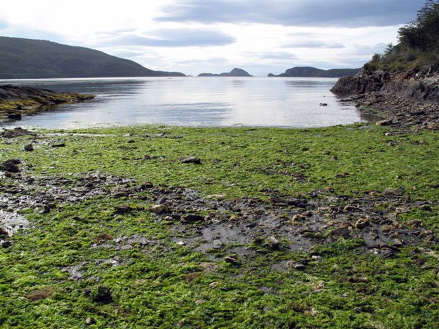 Baie de Lapataia