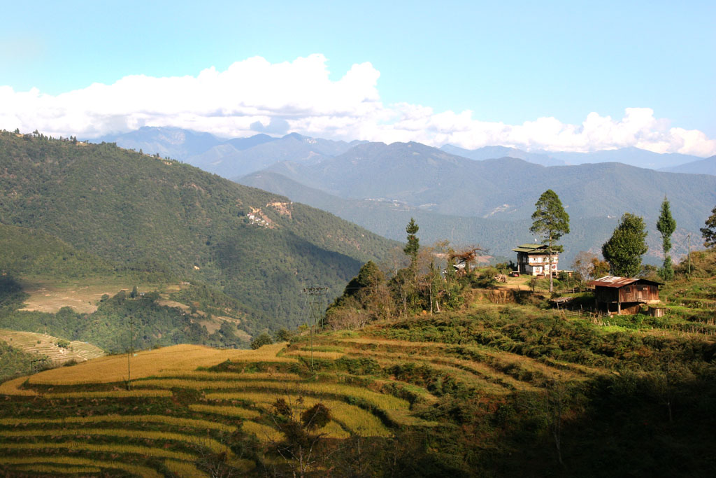 Sur les gradins du stade, les bhoutanais sont attentifs - Thimphu, Punakha et Wangdi