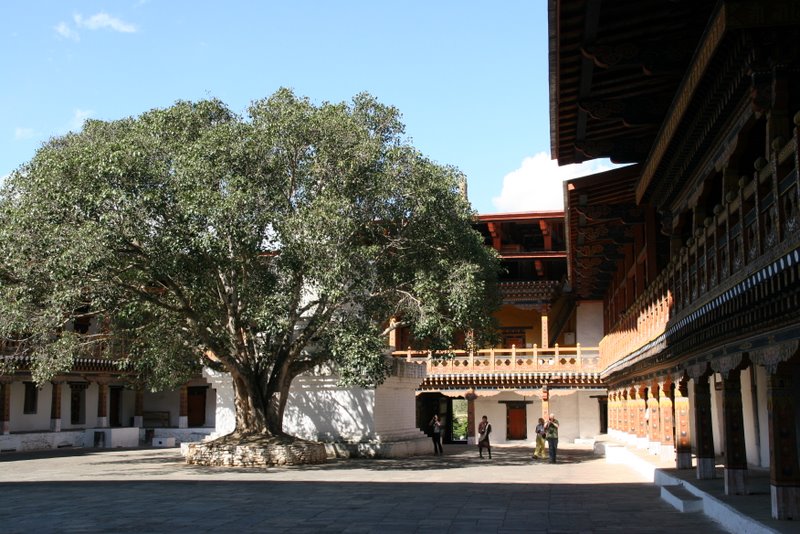 Sur les gradins du stade, les bhoutanais sont attentifs - Thimphu, Punakha et Wangdi