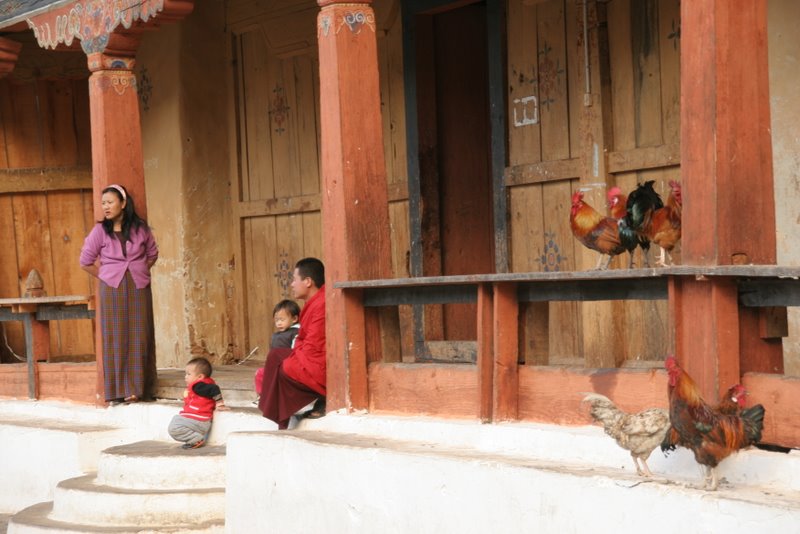 Sur les gradins du stade, les bhoutanais sont attentifs - Thimphu, Punakha et Wangdi