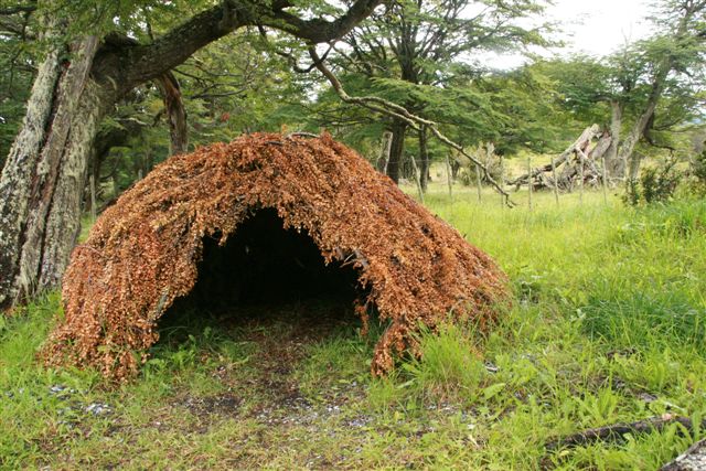 Cabane