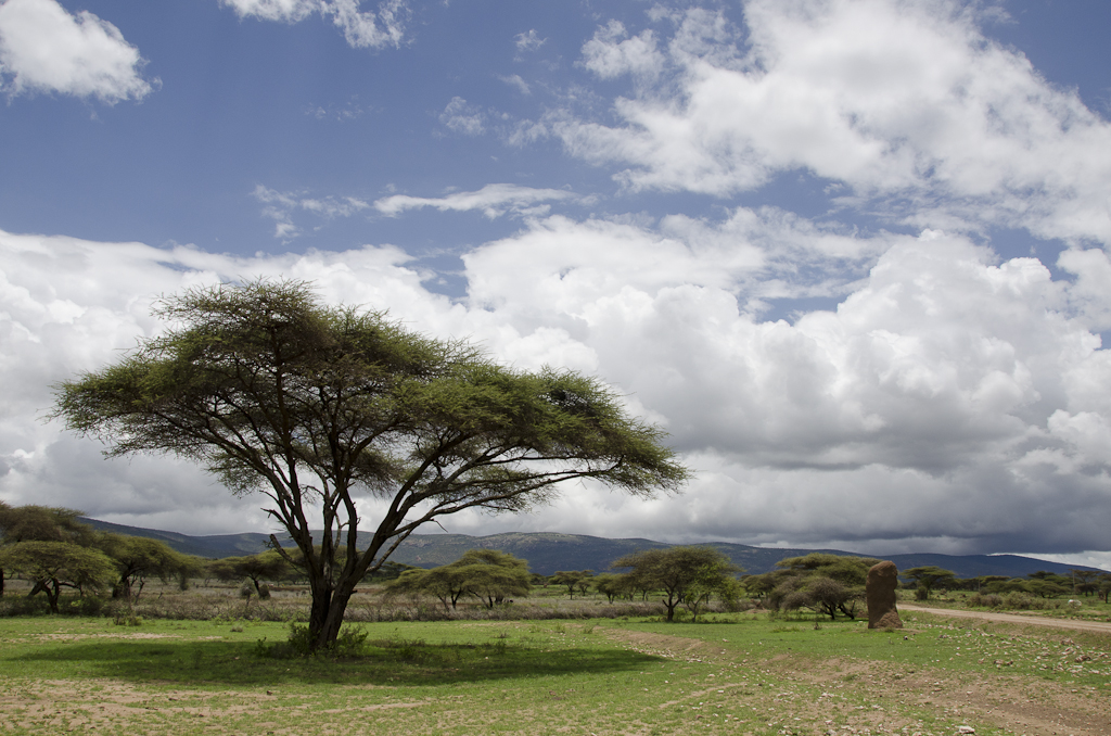 Paysages de savane et d'acacias vers El Soda