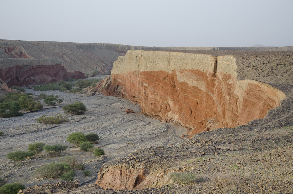 Région du Dallol