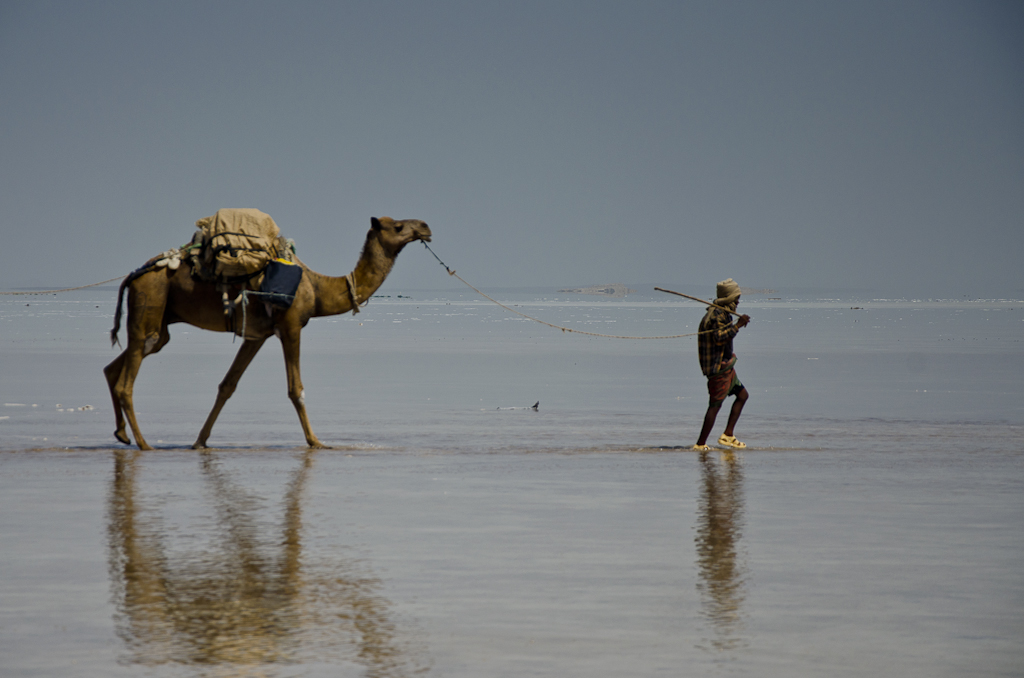 Caravane de sel