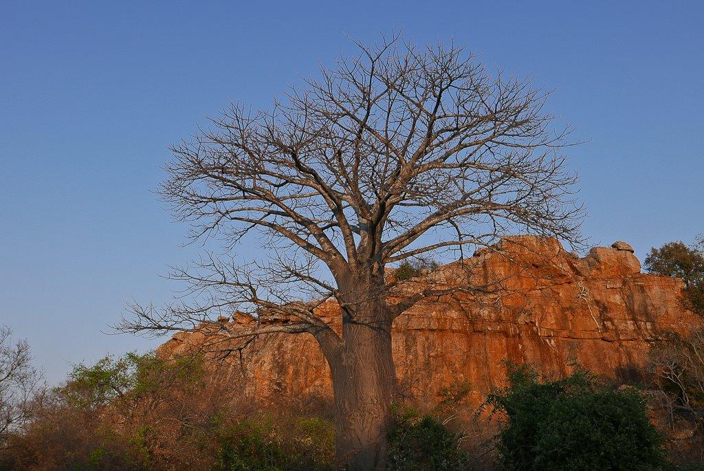Tirawa Great Zimbabwe Monument-2