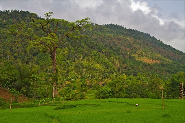 Entre Lao Cai, Panhou et Namson