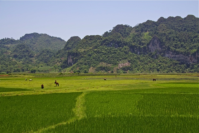 Randonnée au dessus du lac Babé