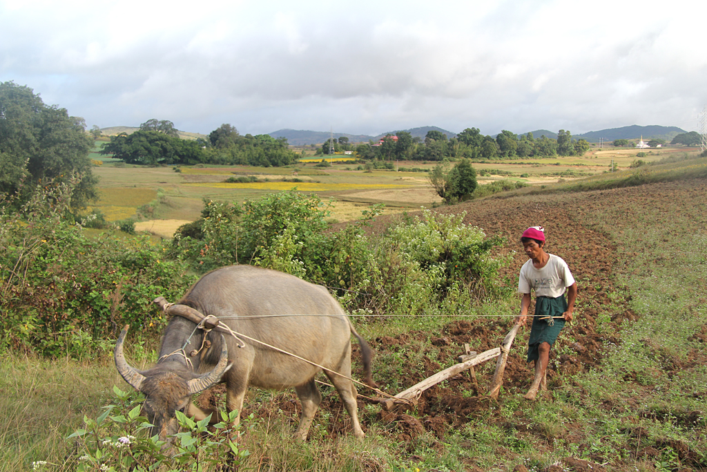 Labourer à l'ancienne