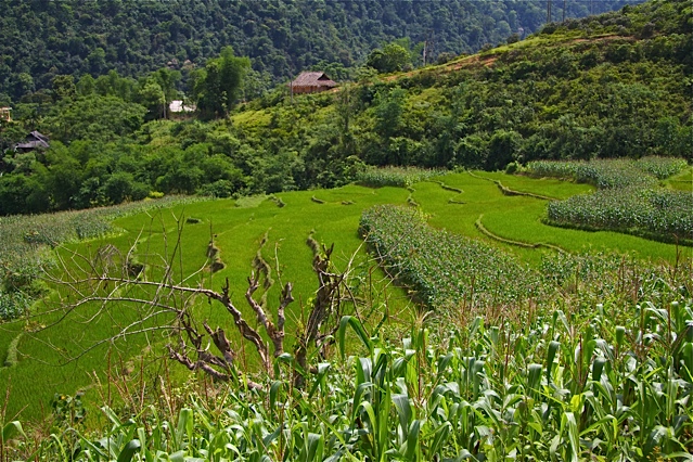 Exploration du Ngoc Son Ngo Luong Nature Reserve