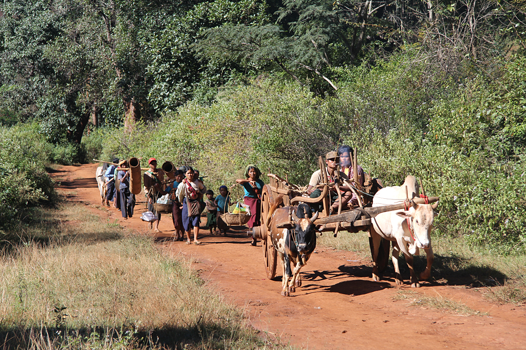 Procession agricole