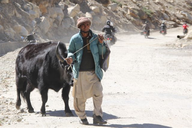 De Kargil à Rangdum