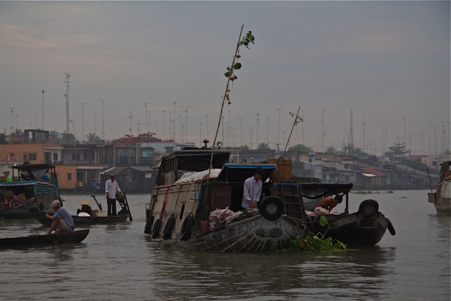 Du Delta du Mékong à l'île de Con Dao