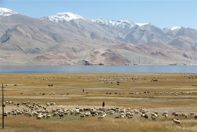 De Chumathang au Tso Kar, en passant par le Tsomoriri