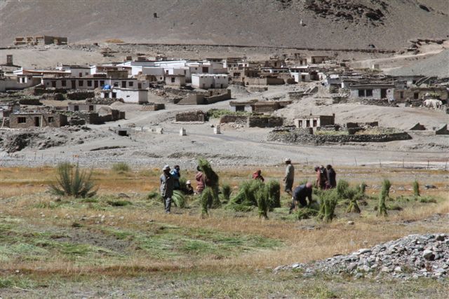 De Chumathang au Tso Kar, en passant par le Tsomoriri