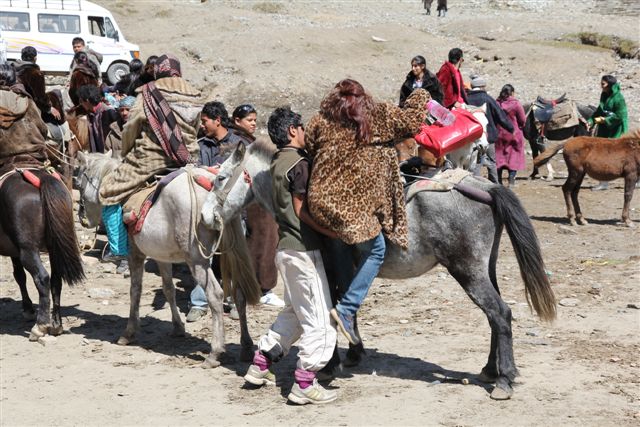 De Darsha à Manali