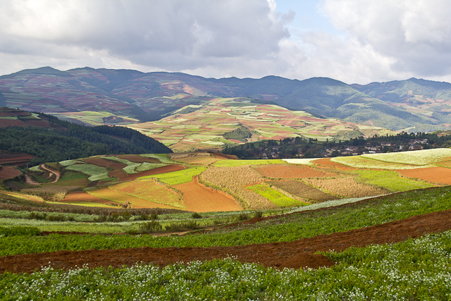 Les Terres rouges de Dong Chuan