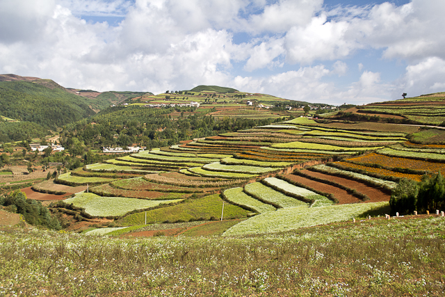 Les Terres rouges de Dong Chuan