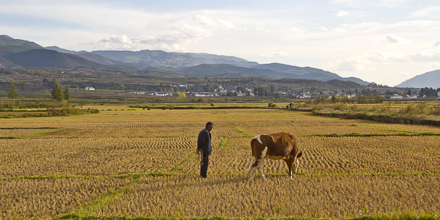 De Dali à Shaxi