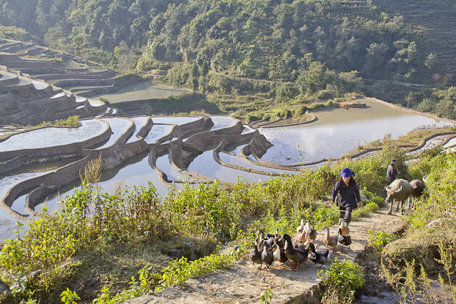 De Jianshui à Yuanyang