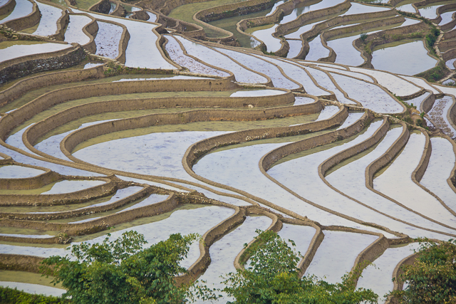 Yuanyang et ses environs