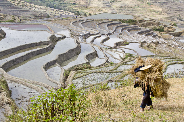 Yuanyang et ses environs