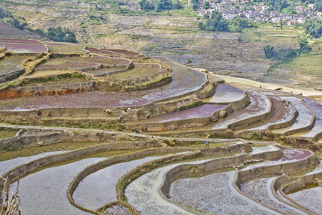 Yuanyang et ses environs