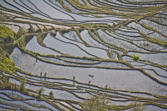 Yuanyang et ses environs